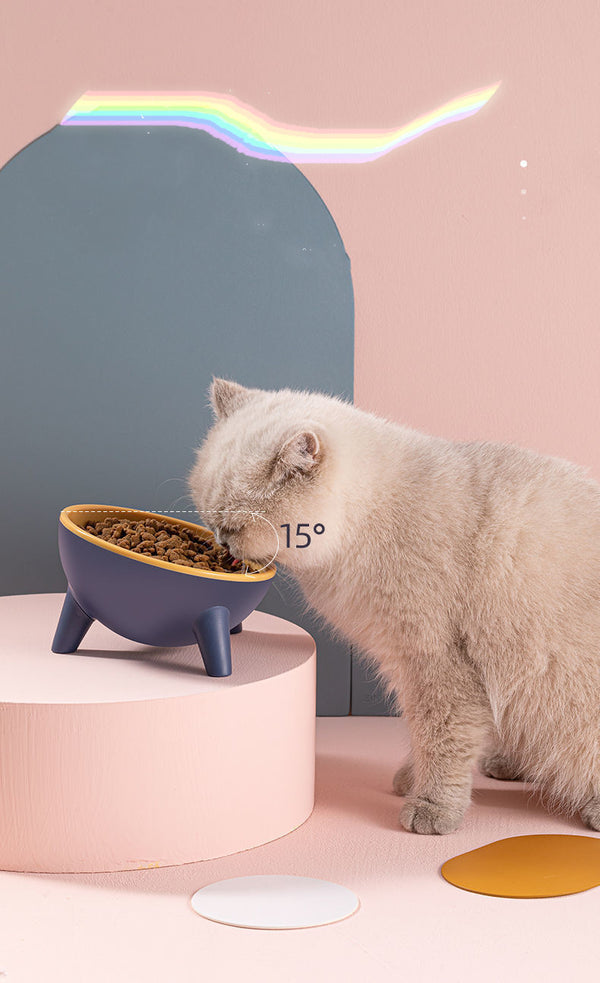 Pet Buddy Feeding Station